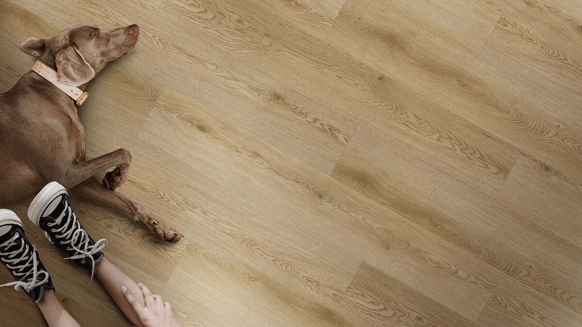 multicontract solen long plank