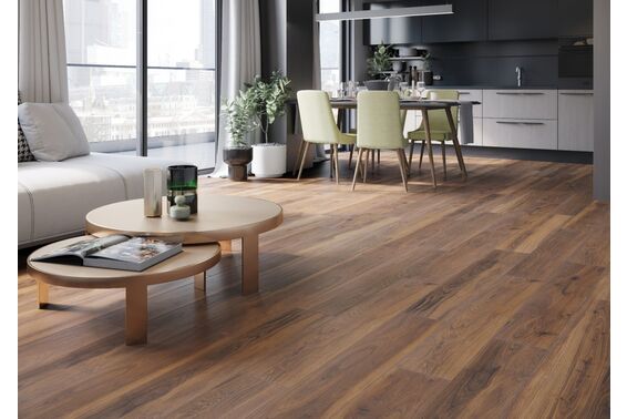 acero cerrad - new design