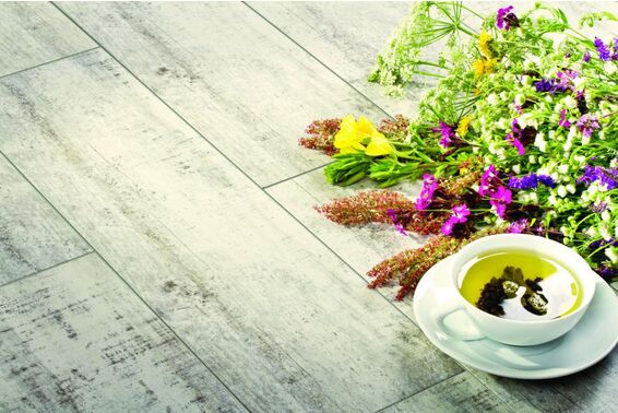 celtis cerrad - new design