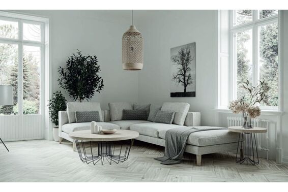 dekan ag home