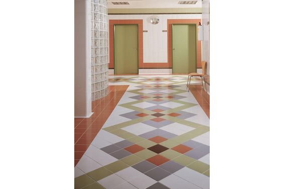monocolor vives