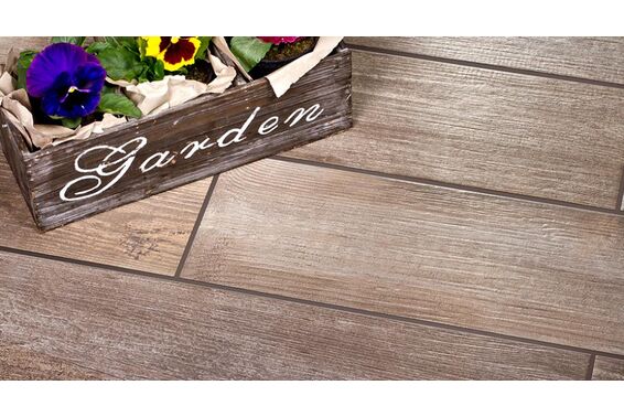 tilia cerrad - new design