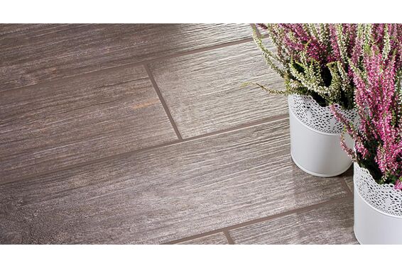 tilia cerrad - new design