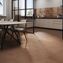 argillae ape ceramica