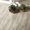 celtis cerrad - new design