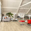creo quickstep
