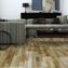decor line barlinek