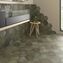 heritage equipe ceramicas