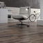 legno picasa