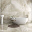 leyte geotiles