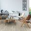 pulse glue plus quickstep