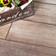 tilia cerrad - new design