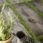 treverkmade20 marazzi