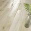 wood concept opoczno