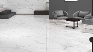 nuevo carrara